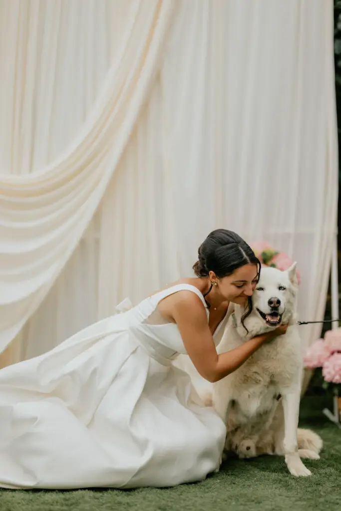 Une mariée à la Réunion 974 fait son mariage à domicile, elle enlace son chien en robe de mariée le jour de son mariage.